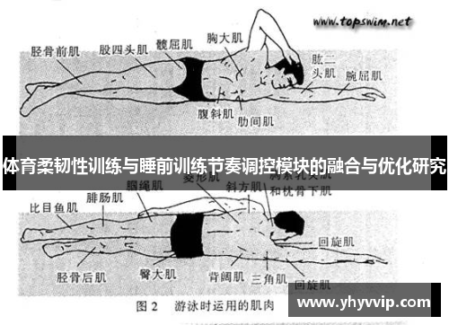 体育柔韧性训练与睡前训练节奏调控模块的融合与优化研究