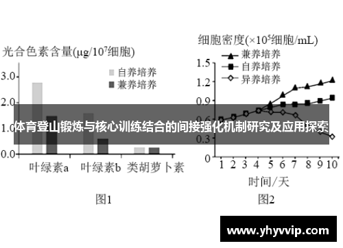 体育登山锻炼与核心训练结合的间接强化机制研究及应用探索